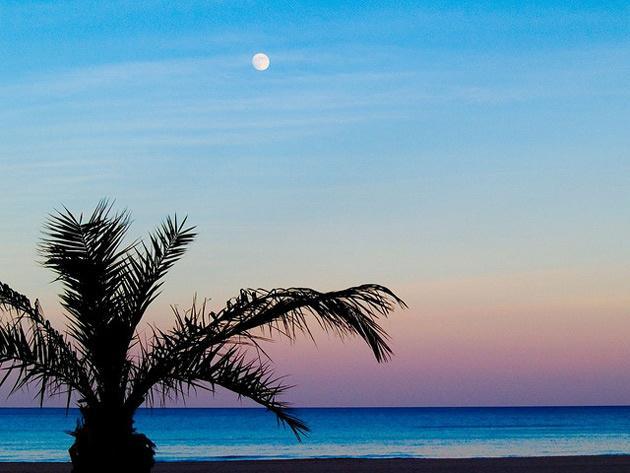 Exclusivo Apartamento Junto Al Mar By Hugo Beach Hotel Gandia Exterior photo